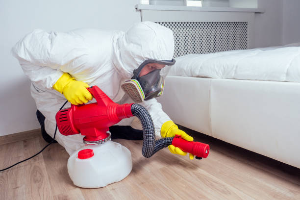 Professional Pest Control in Chewelah, WA